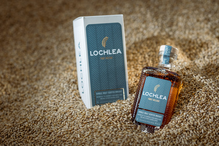 Why Lochlea is Underrated