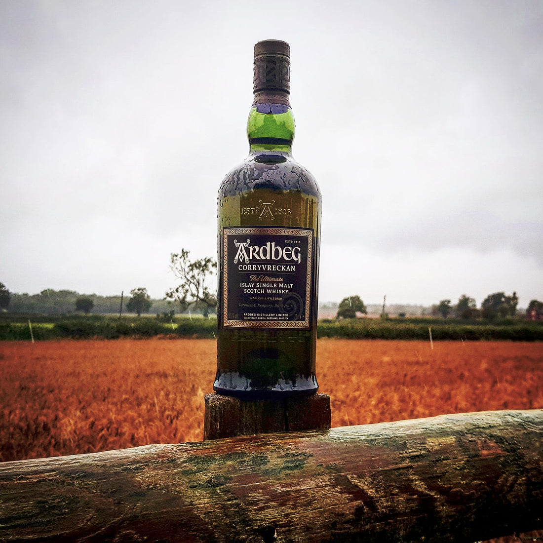 Ardbeg Corryveckan Whisky Review