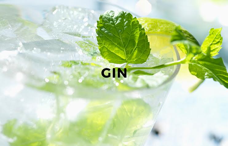 Gin