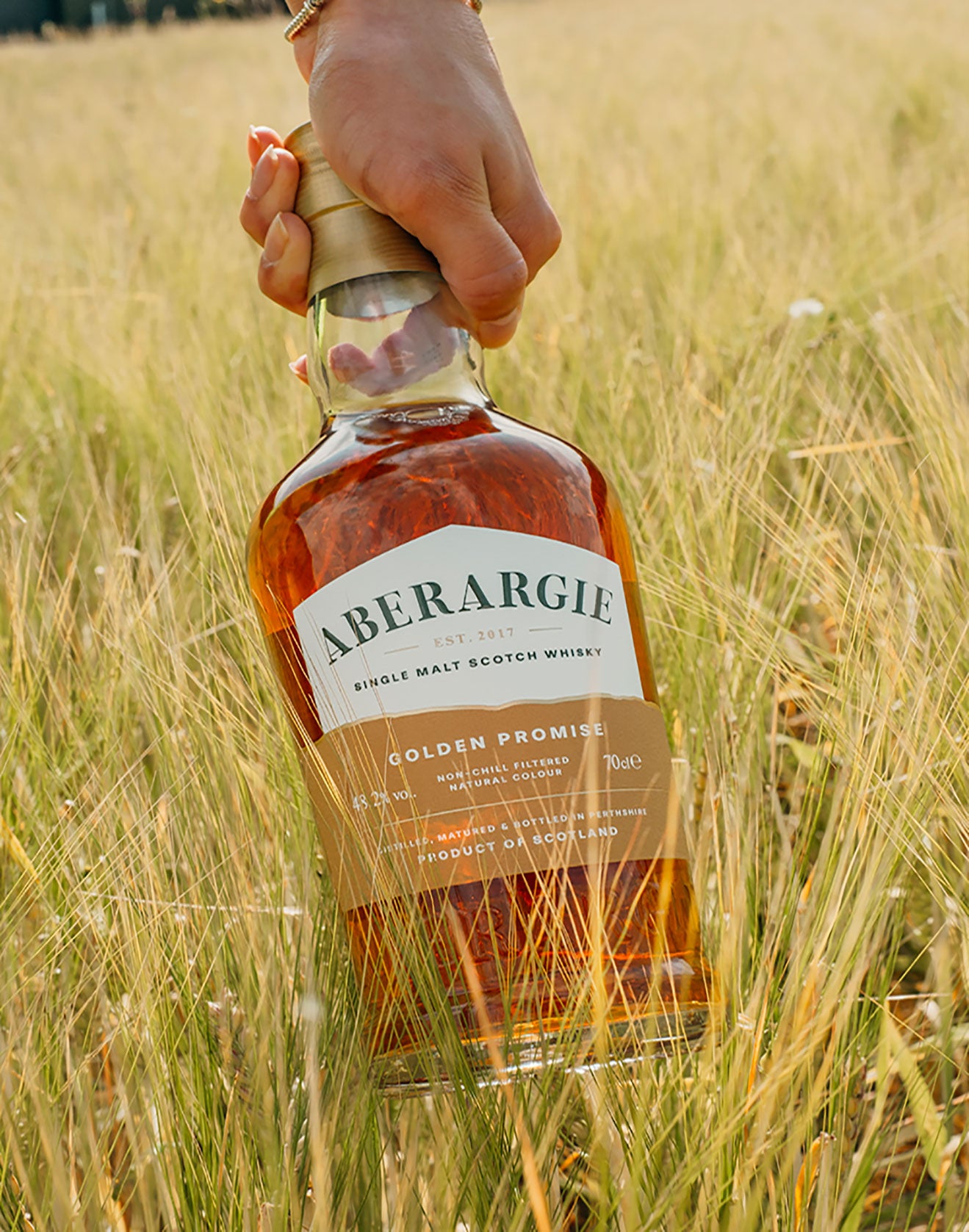 A hand holds a bottle of Aberargie Golden Promise single malt Scotch whisky standing in a field of golden barley.