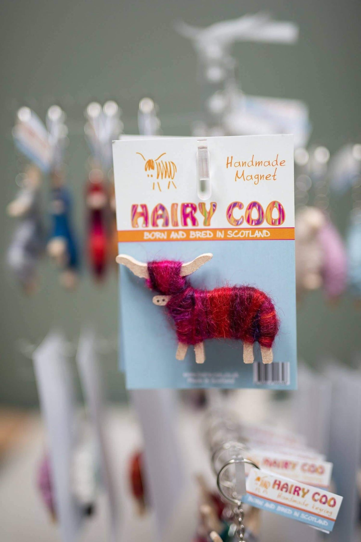 Handmade Highland Cow Magnet - Born and Bred in Scotland displayed with colorful Hairy Coo design on packaging.